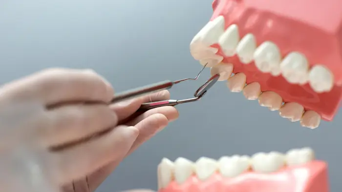 دندان مصنوعی