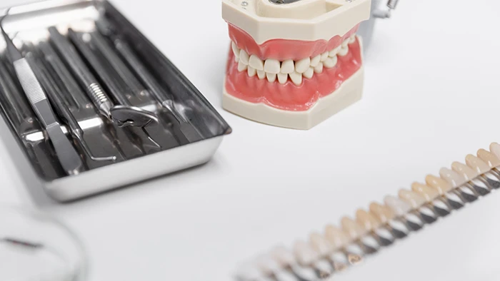 دسته دندان (دندان مصنوعی)